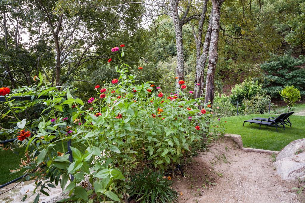 Quinta Da Bouca - Agroturismo Pacos de Gaiolo Zimmer foto